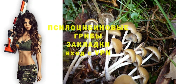 прущие грибы Балахна