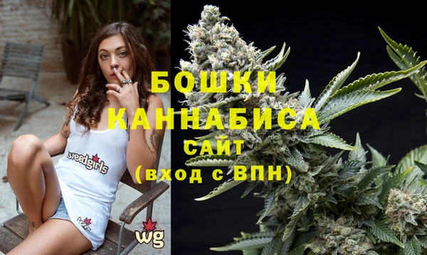 Альфа ПВП Белокуриха