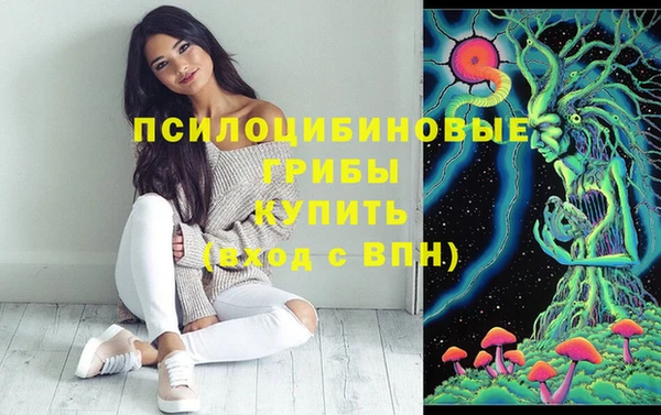 Альфа ПВП Белокуриха