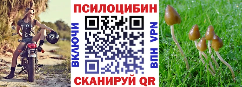 купить наркотик  Михайловск  маркетплейс наркотические препараты  Псилоцибиновые грибы прущие грибы 
