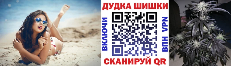 Каннабис планчик  Михайловск 